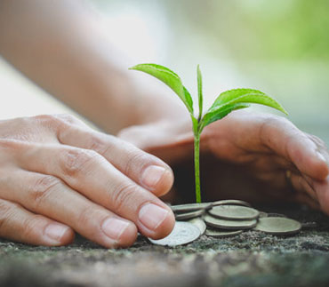 Hands On Plant And Money